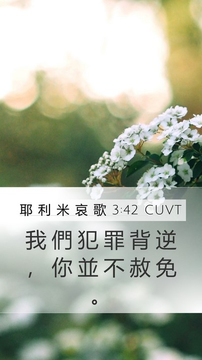 耶 利 米 哀 歌 3:42 CUVT Bible Verse Image