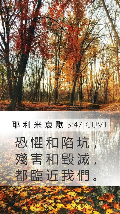 耶 利 米 哀 歌 3:47 CUVT Mobile Phone Wallpaper - 恐 懼 和 陷 坑 ， 殘 害 和 毀 滅 ， - Mobile Bible Verse Wallpaper