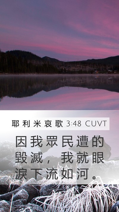 耶 利 米 哀 歌 3:48 CUVT Bible Verse Image