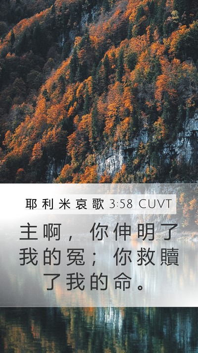耶 利 米 哀 歌 3:58 CUVT Bible Verse Image