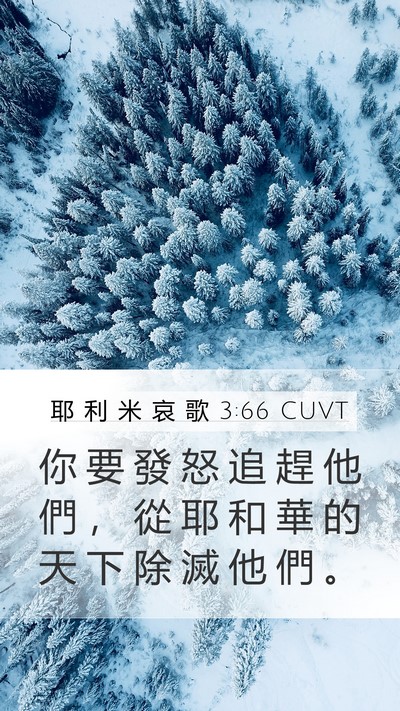 耶 利 米 哀 歌 3:66 CUVT Bible Verse Image