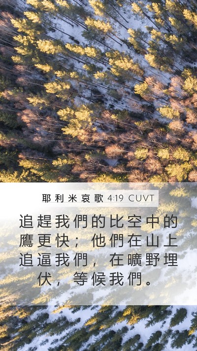耶 利 米 哀 歌 4:19 CUVT Bible Verse Image