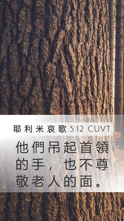 耶 利 米 哀 歌 5:12 CUVT Bible Verse Image