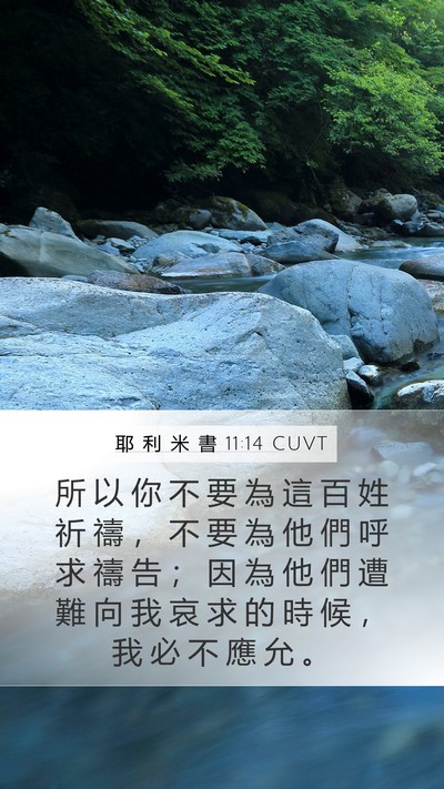 耶 利 米 書 11:14 CUVT Bible Verse Image