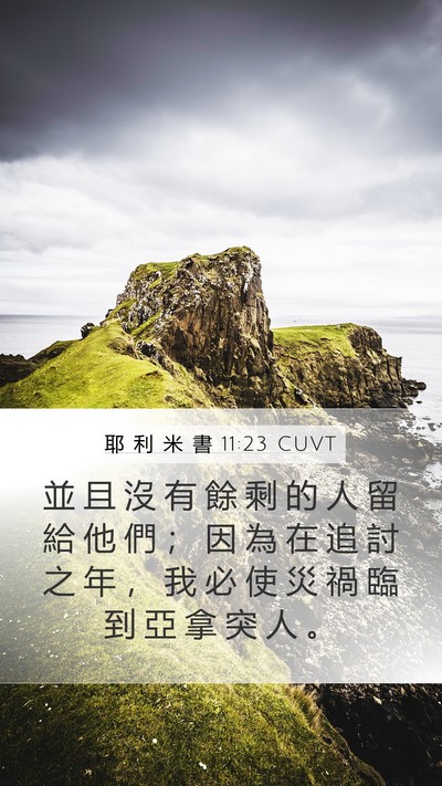 耶 利 米 書 11:23 CUVT Bible Verse Image