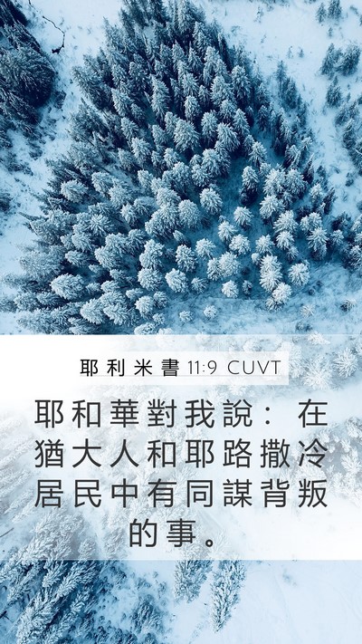 耶 利 米 書 11:9 CUVT Bible Verse Image