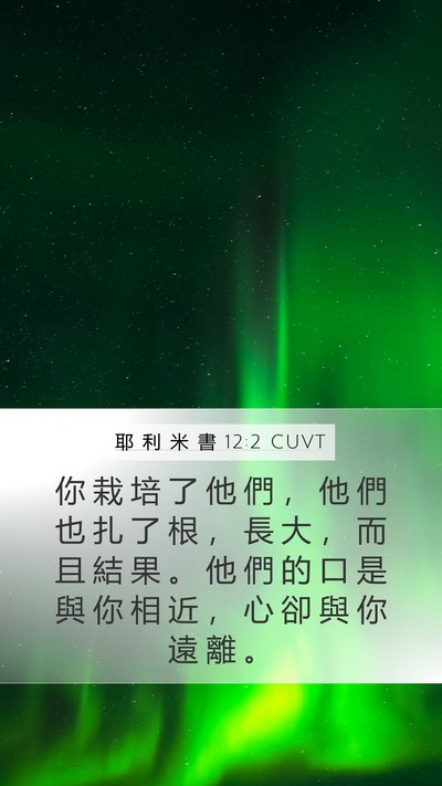 耶 利 米 書 12:2 CUVT Bible Verse Image