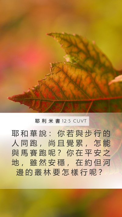 耶 利 米 書 12:5 CUVT Bible Verse Image
