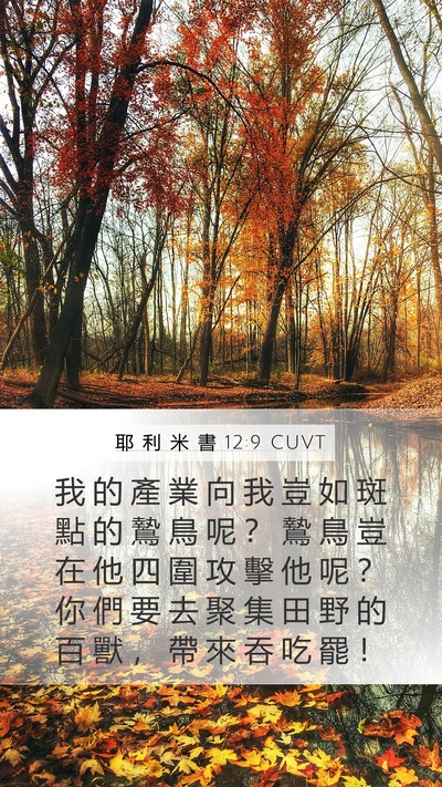 耶 利 米 書 12:9 CUVT Bible Verse Image