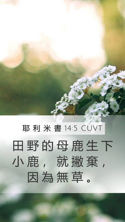 耶 利 米 書 14:5 CUVT Bible Verse Image