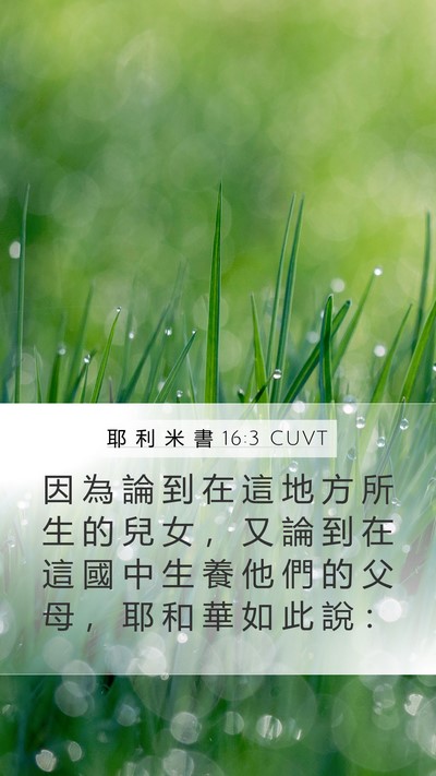 耶 利 米 書 16:3 CUVT Mobile Phone Wallpaper - 因 為 論 到 在 這 地 方 所 生 的 兒 - Mobile Bible Verse Wallpaper
