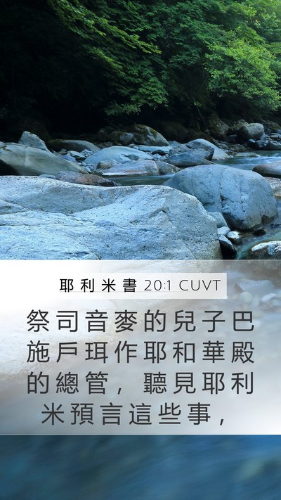 耶 利 米 書 20:1 CUVT Bible Verse Image