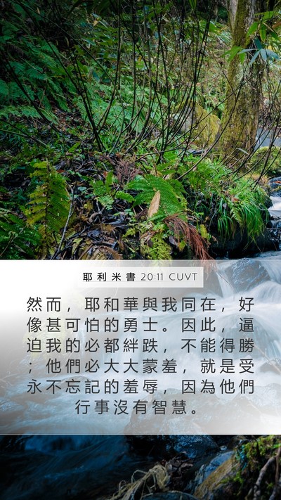 耶 利 米 書 20:11 CUVT Bible Verse Image