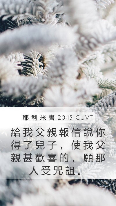 耶 利 米 書 20:15 CUVT Mobile Phone Wallpaper - 給 我 父 親 報 信 說 你 得 了 兒 子 - Mobile Bible Verse Wallpaper