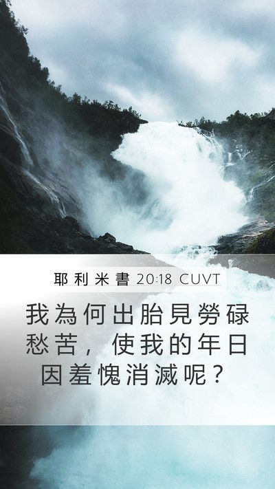 耶 利 米 書 20:18 CUVT Bible Verse Image
