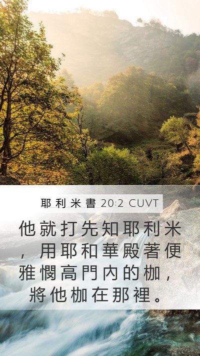 耶 利 米 書 20:2 CUVT Mobile Phone Wallpaper - 他 就 打 先 知 耶 利 米 ， 用 耶 和 - Mobile Bible Verse Wallpaper