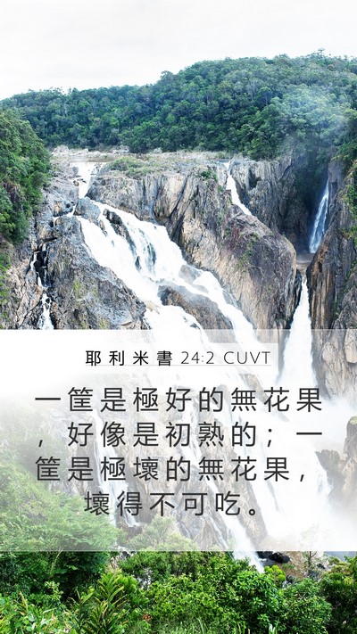 耶 利 米 書 24:2 CUVT Bible Verse Image
