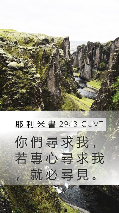 耶 利 米 書 29:13 CUVT Bible Verse Image