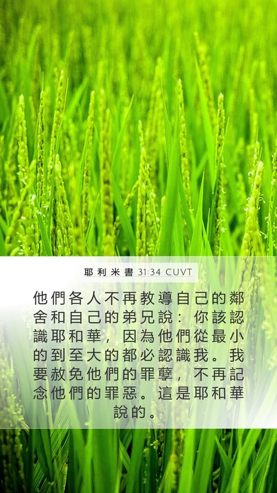 耶 利 米 書 31:34 CUVT Bible Verse Image