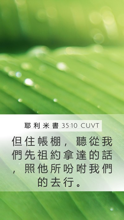 耶 利 米 書 35:10 CUVT Mobile Phone Wallpaper - 但 住 帳 棚 ， 聽 從 我 們 先 祖 約 - Mobile Bible Verse Wallpaper