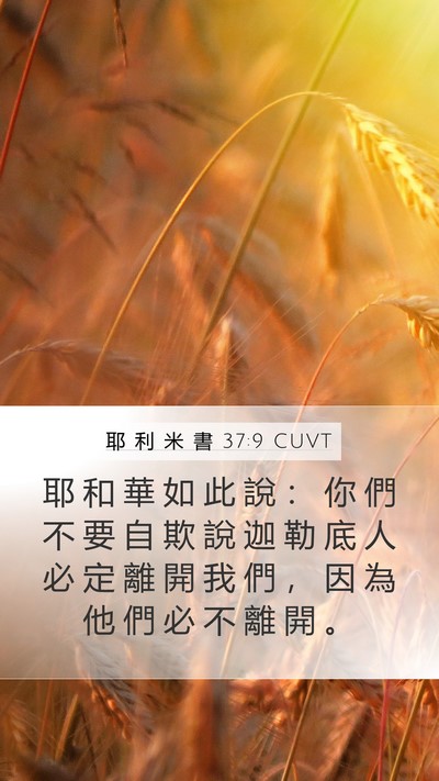 耶 利 米 書 37:9 CUVT Bible Verse Image