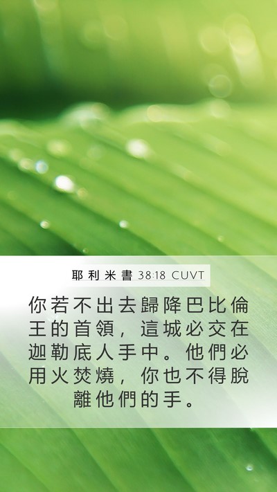 耶 利 米 書 38:18 CUVT Bible Verse Image