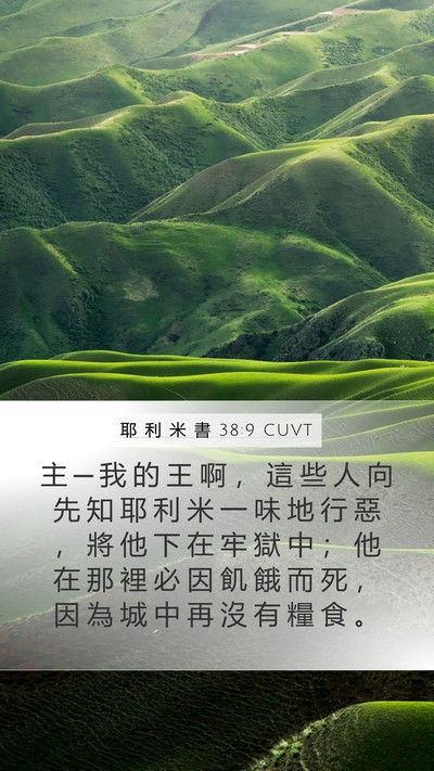 耶 利 米 書 38:9 CUVT Bible Verse Image