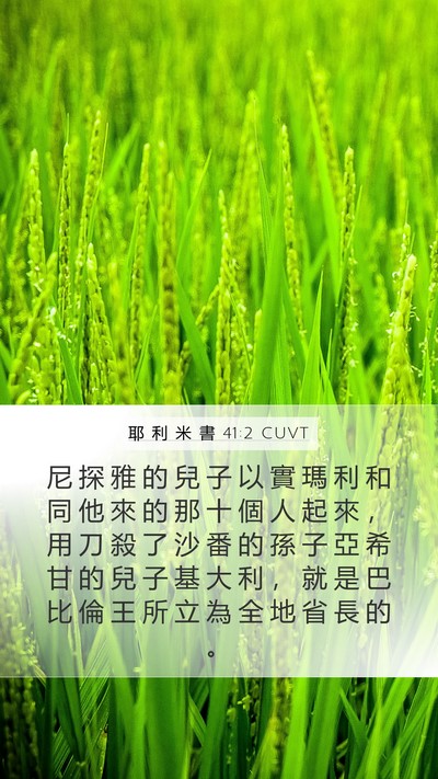 耶 利 米 書 41:2 CUVT Mobile Phone Wallpaper - 尼 探 雅 的 兒 子 以 實 瑪 利 和 同 - Mobile Bible Verse Wallpaper