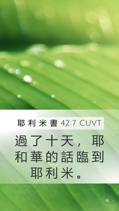 耶 利 米 書 42:7 CUVT Bible Verse Image
