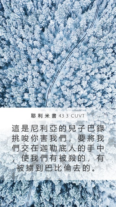 耶 利 米 書 43:3 CUVT Bible Verse Image