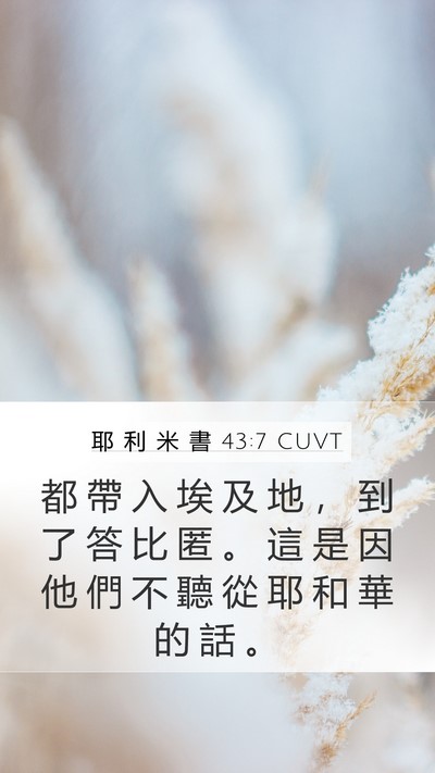 耶 利 米 書 43:7 CUVT Bible Verse Image