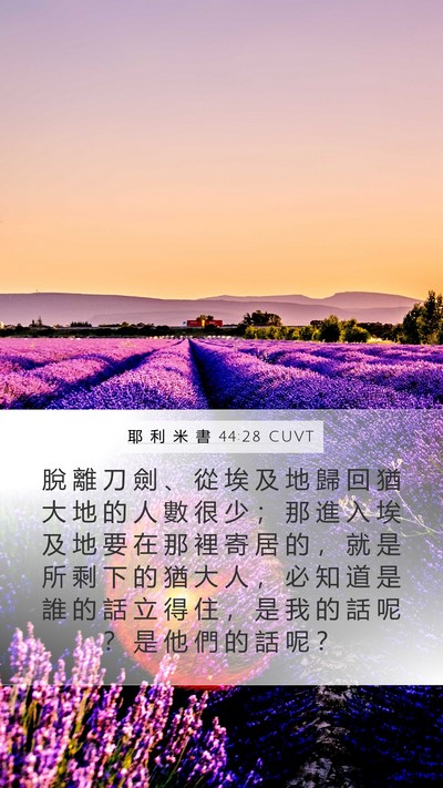 耶 利 米 書 44:28 CUVT Bible Verse Image