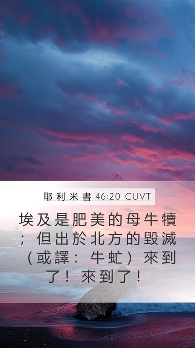 耶 利 米 書 46:20 CUVT Bible Verse Image
