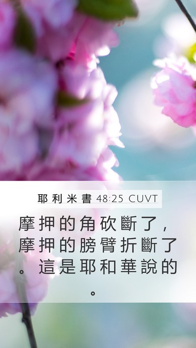 耶 利 米 書 48:25 CUVT Mobile Phone Wallpaper - 摩 押 的 角 砍 斷 了 ， 摩 押 的 膀 - Mobile Bible Verse Wallpaper