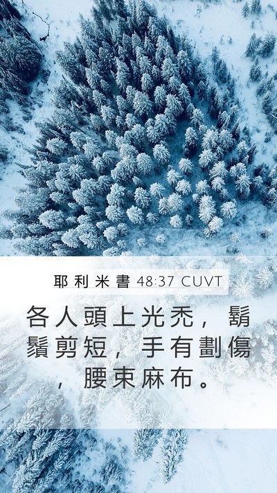 耶 利 米 書 48:37 CUVT Bible Verse Image