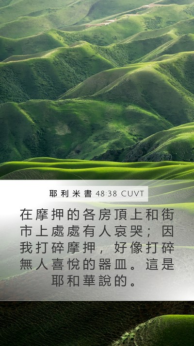 耶 利 米 書 48:38 CUVT Bible Verse Image