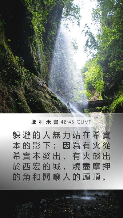耶 利 米 書 48:45 CUVT Bible Verse Image