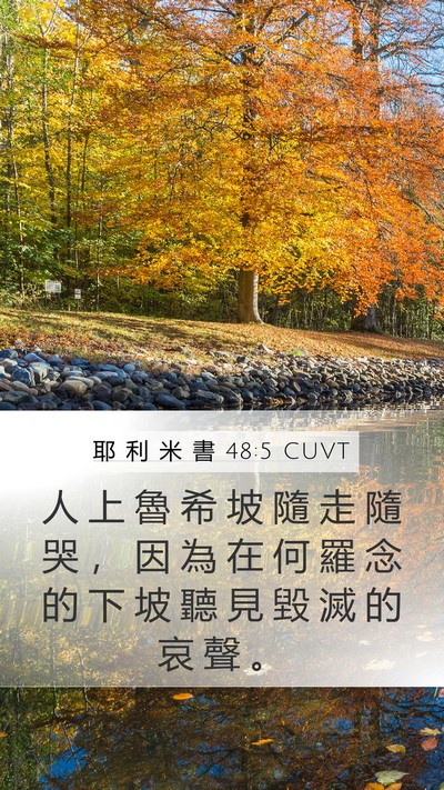 耶 利 米 書 48:5 CUVT Bible Verse Image