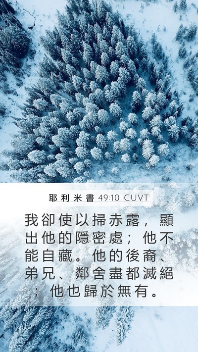 耶 利 米 書 49:10 CUVT Mobile Phone Wallpaper - 我 卻 使 以 掃 赤 露 ， 顯 出 他 的 - Mobile Bible Verse Wallpaper