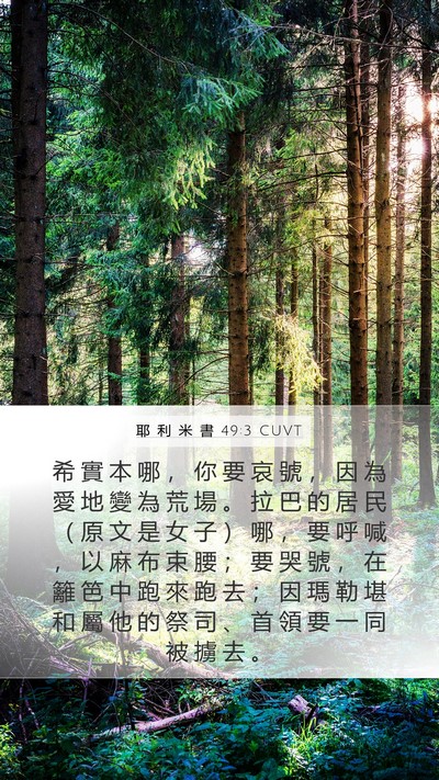 耶 利 米 書 49:3 CUVT Bible Verse Image