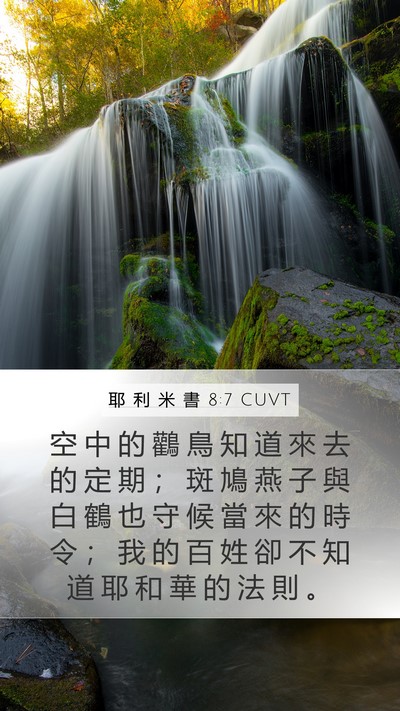 耶 利 米 書 8:7 CUVT Bible Verse Image