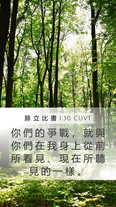 腓 立 比 書 1:30 CUVT Mobile Phone Wallpaper - 你 們 的 爭 戰 ， 就 與 你 們 在 我 - Mobile Bible Verse Wallpaper