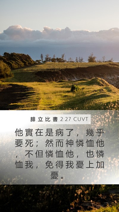 腓 立 比 書 2:27 CUVT Mobile Phone Wallpaper - 他 實 在 是 病 了 ， 幾 乎 要 死 ； - Mobile Bible Verse Wallpaper