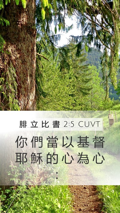 腓 立 比 書 2:5 CUVT Bible Verse Image