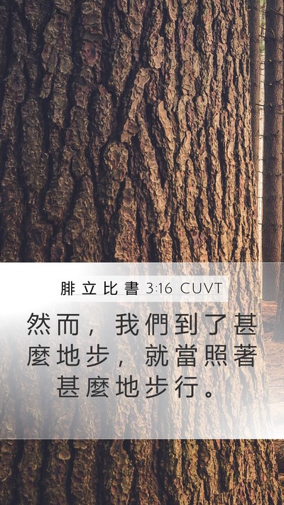 腓 立 比 書 3:16 CUVT Bible Verse Image