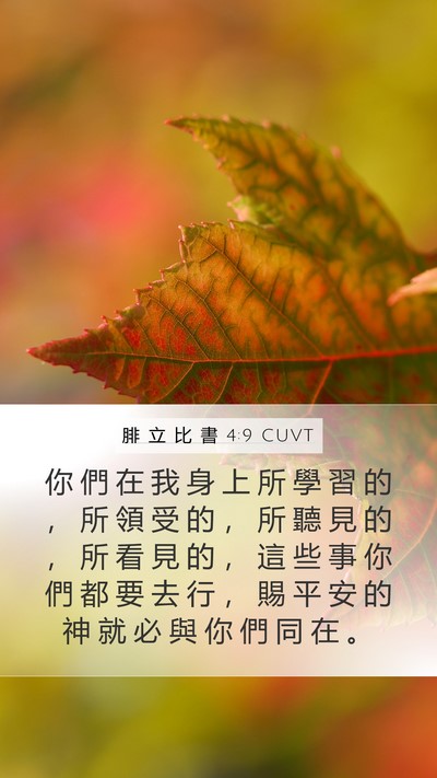 腓 立 比 書 4:9 CUVT Bible Verse Image