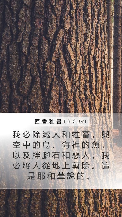 西 番 雅 書 1:3 CUVT Bible Verse Image