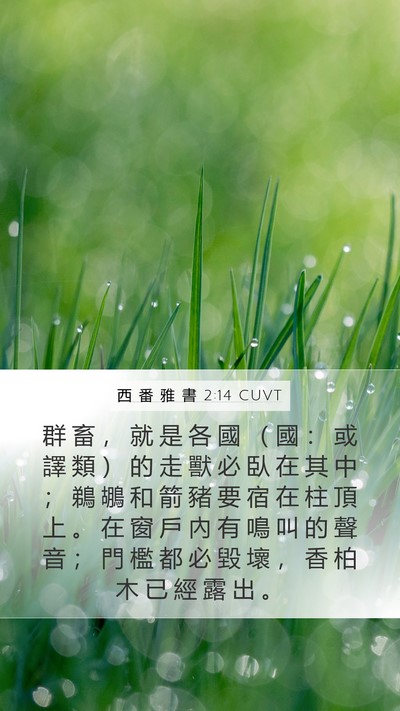 西 番 雅 書 2:14 CUVT Bible Verse Image