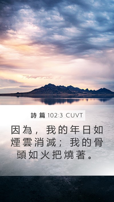 詩 篇 102:3 CUVT Bible Verse Image