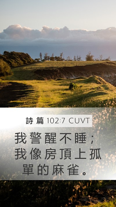 詩 篇 102:7 CUVT Bible Verse Image